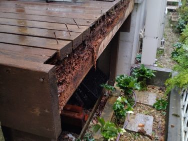 針葉樹ウッドデッキが腐っている画像