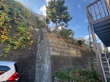 傾斜地の庭