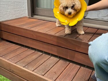 縁台